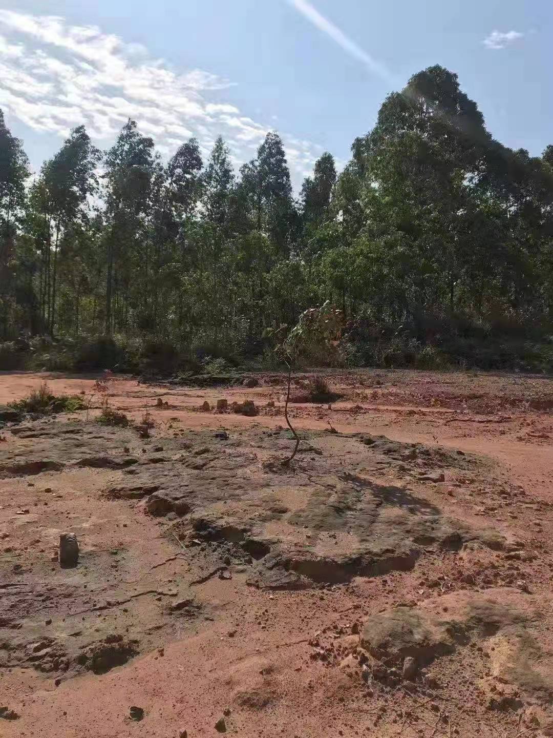 惠阳区数码园5800平空地超低价出租1