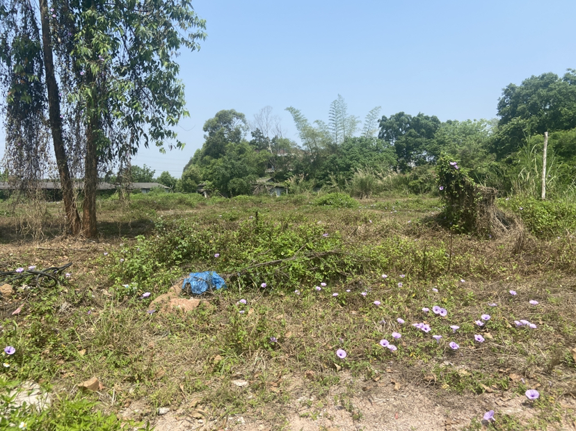 清远市清城区石角镇地皮出租国道边交通方便6