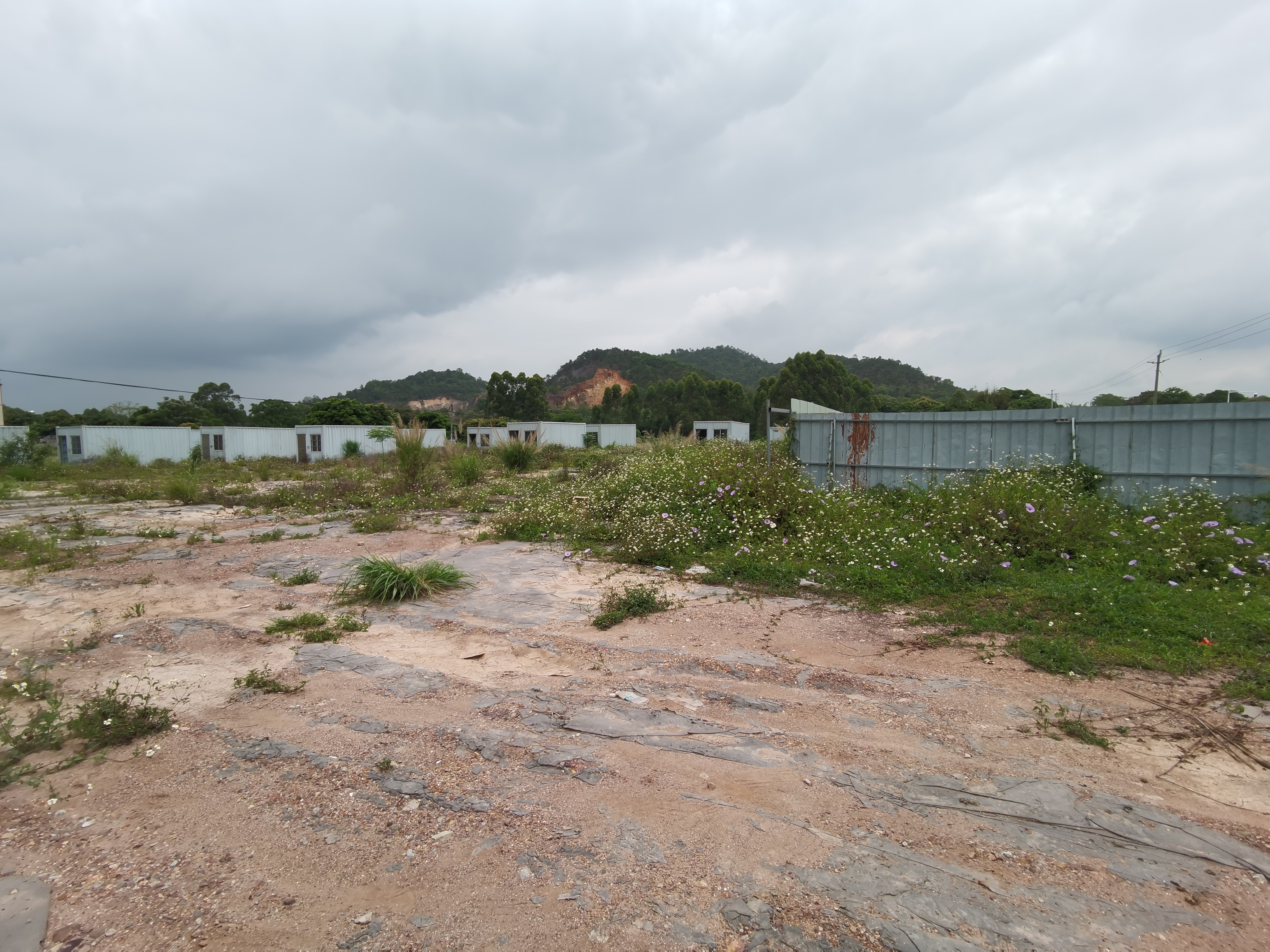 惠阳区永湖镇6000平方国有土地低价出售6