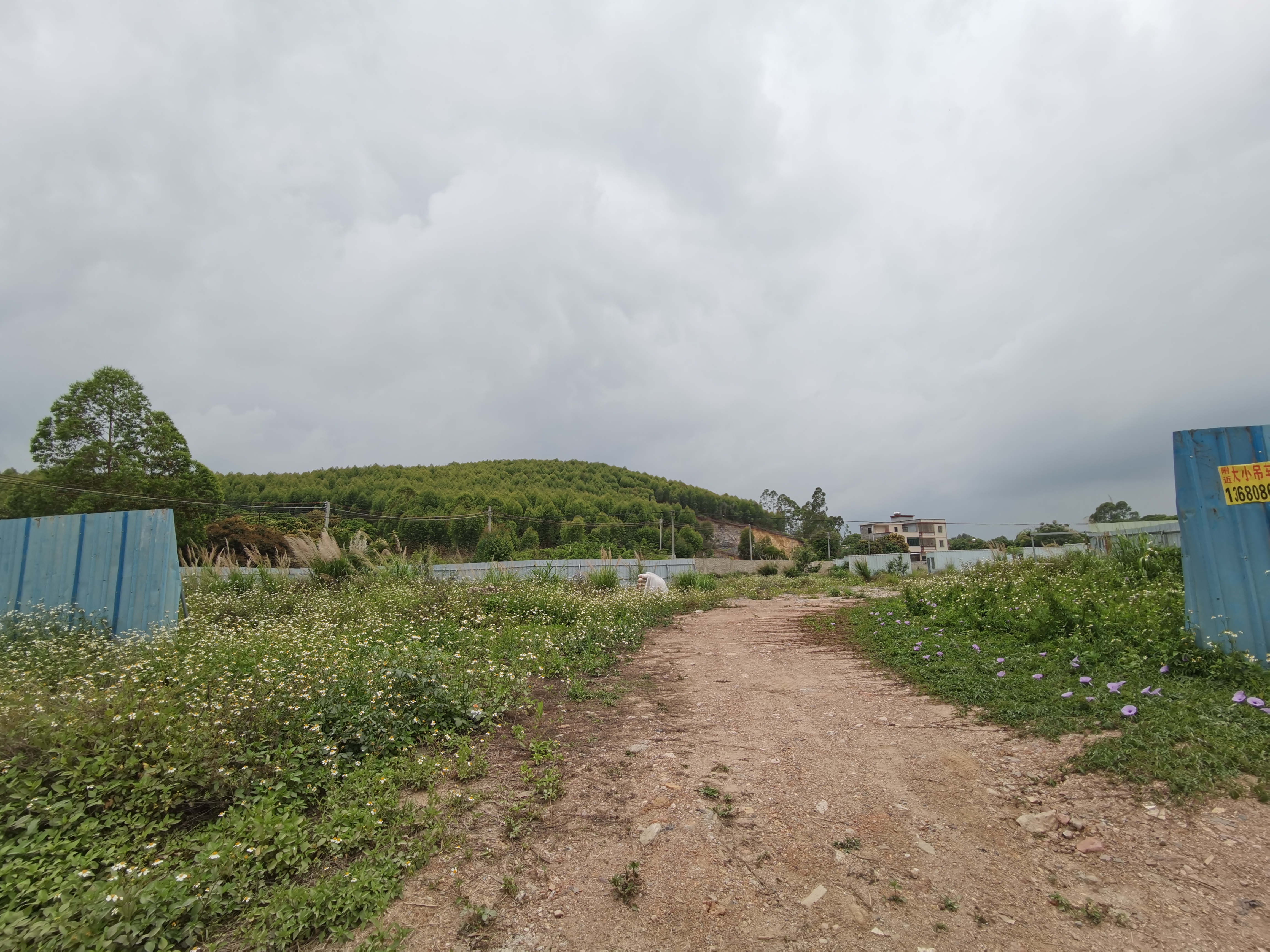 惠阳区永湖镇6000平方国有土地低价出售1