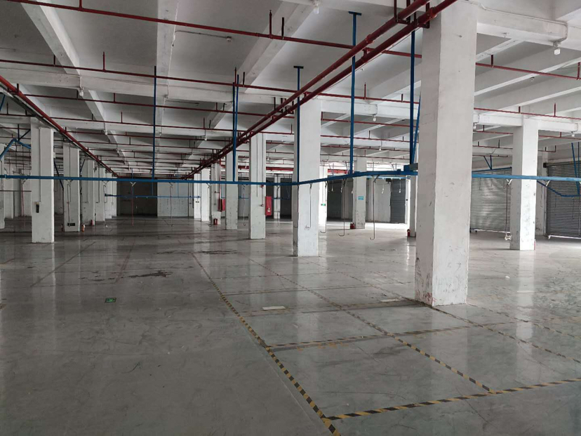 常平镇原房东一楼6米高2500平方厂房出租可做物流仓库生产等