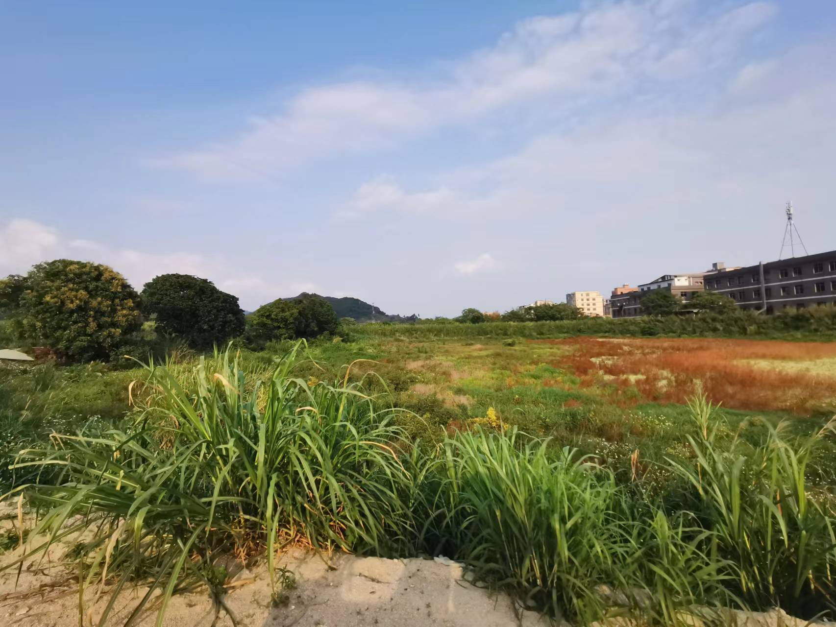 原房东投标出来的大空地2