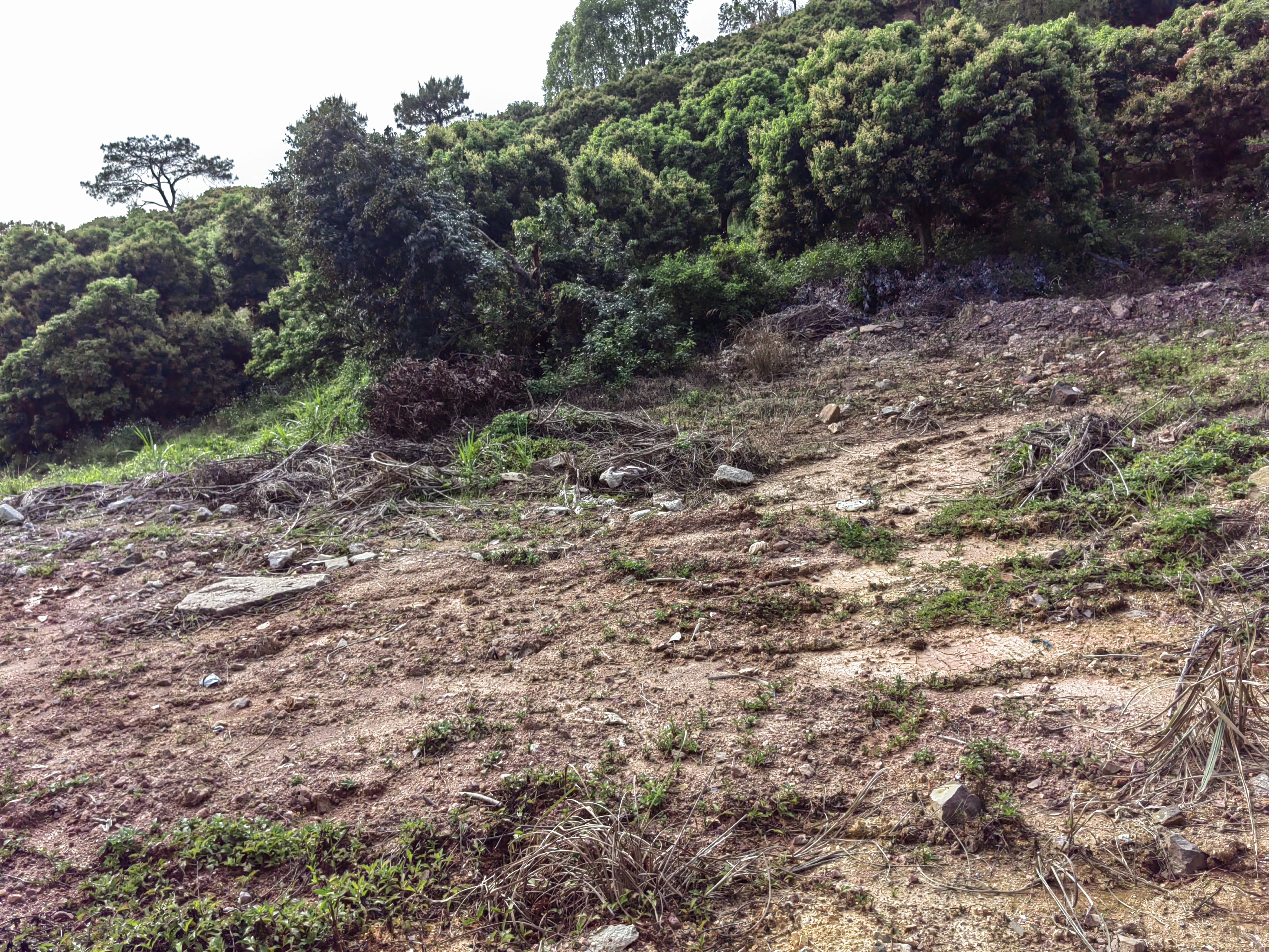 原房东一手土地空地面积600平出租1