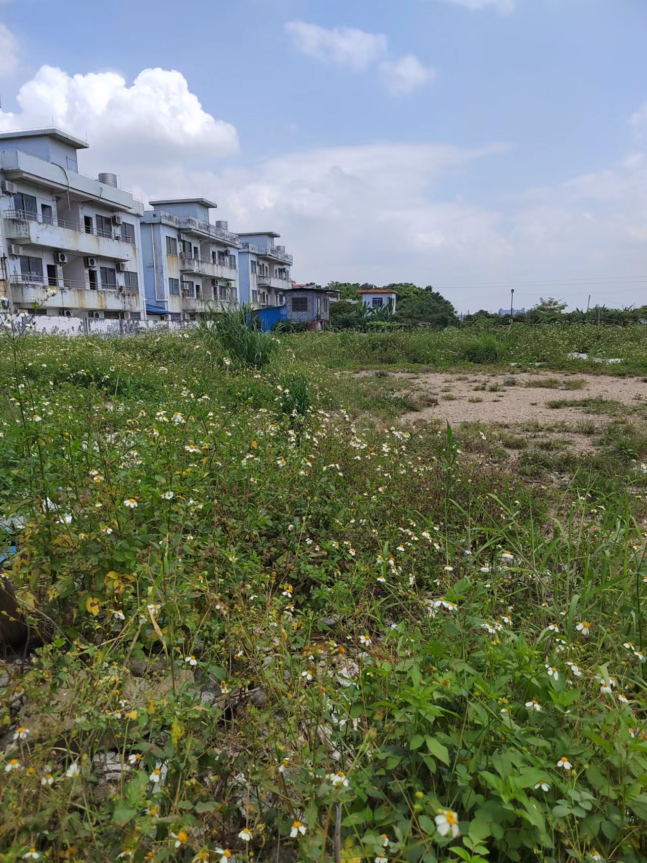 佛山顺德区杏坛镇原房东空地1000平出租1