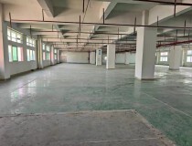 黄江镇刁朗村新出独院标准厂房出租2楼一层1450平方可以分租