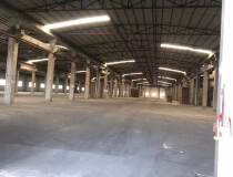 番禺区中心位置新出小面积【科技园】厂房建筑1053平米