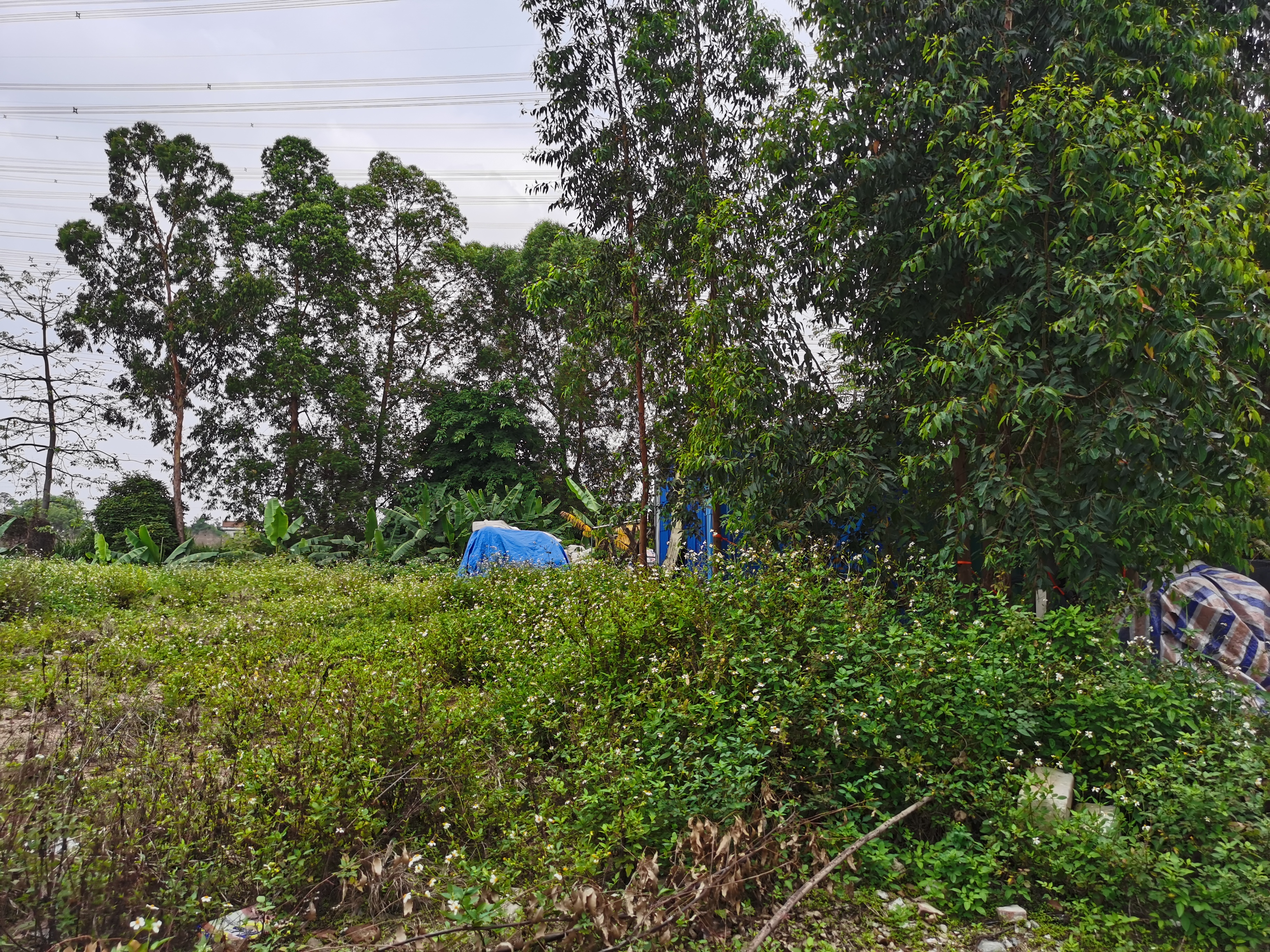 东莞周边望牛墩万江高埗中堂30亩空地工业用地土地地皮出租可分3