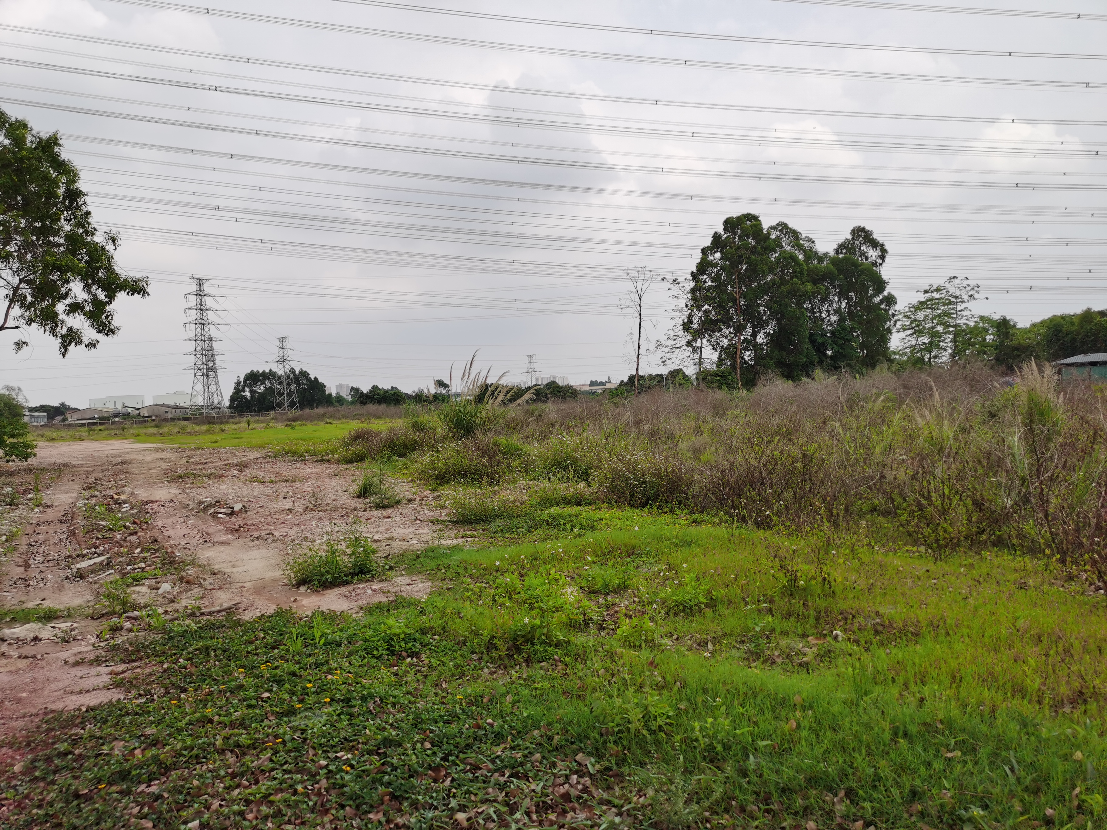 东莞周边望牛墩万江高埗中堂30亩空地工业用地土地地皮出租可分5