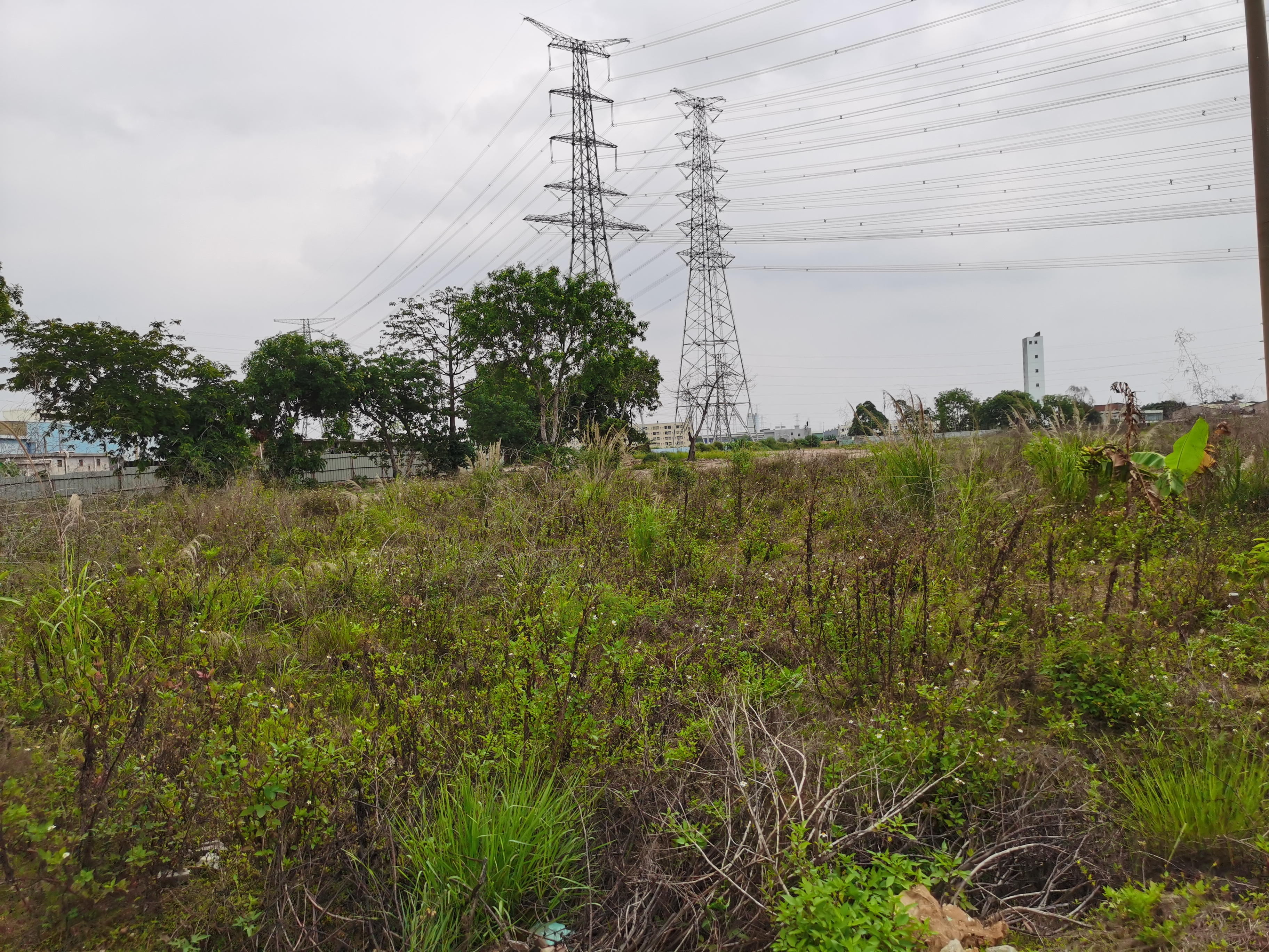 东莞周边望牛墩万江高埗中堂30亩空地工业用地土地地皮出租可分4