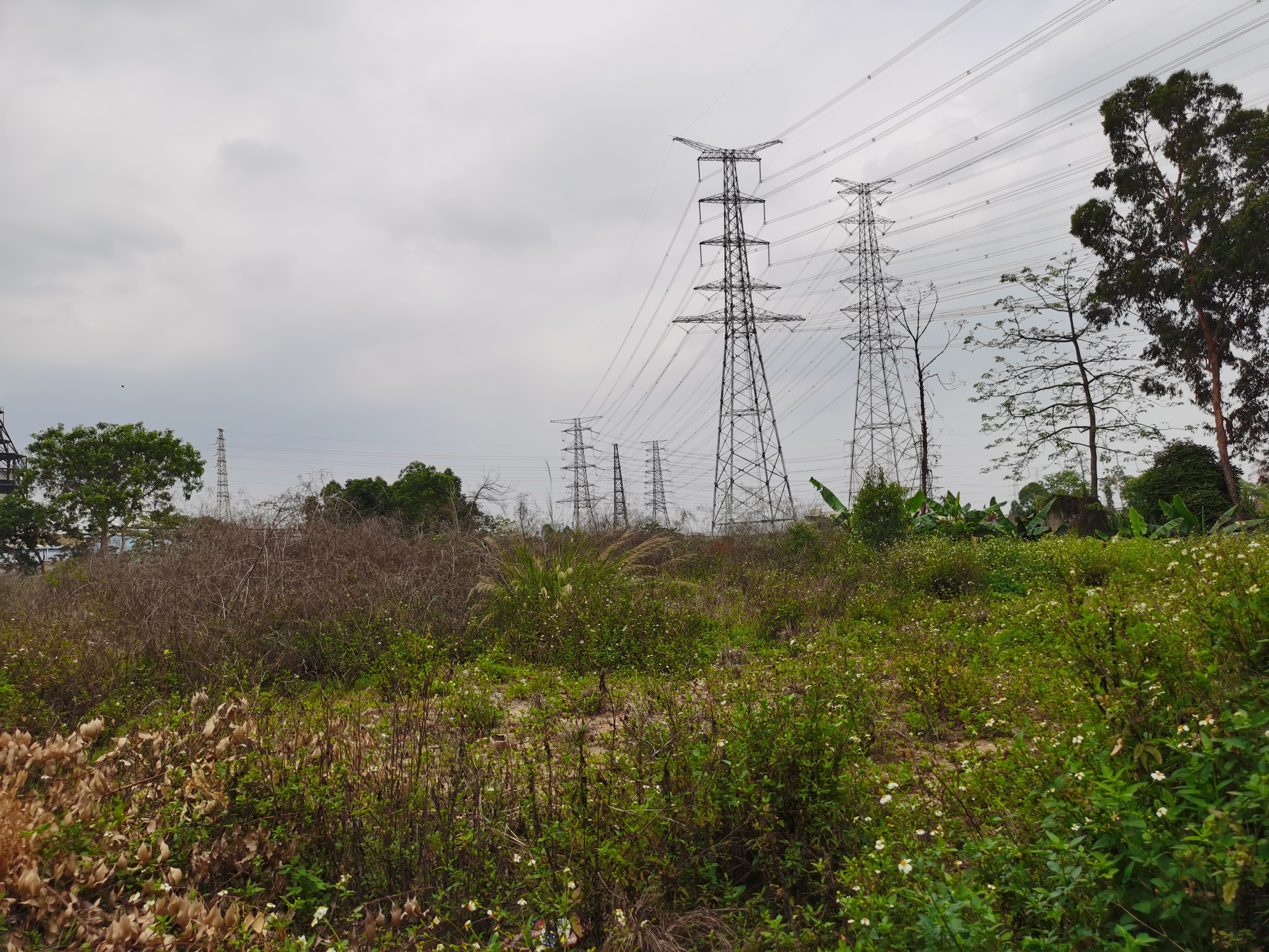 东莞周边望牛墩万江高埗中堂30亩空地工业用地土地地皮出租可分2