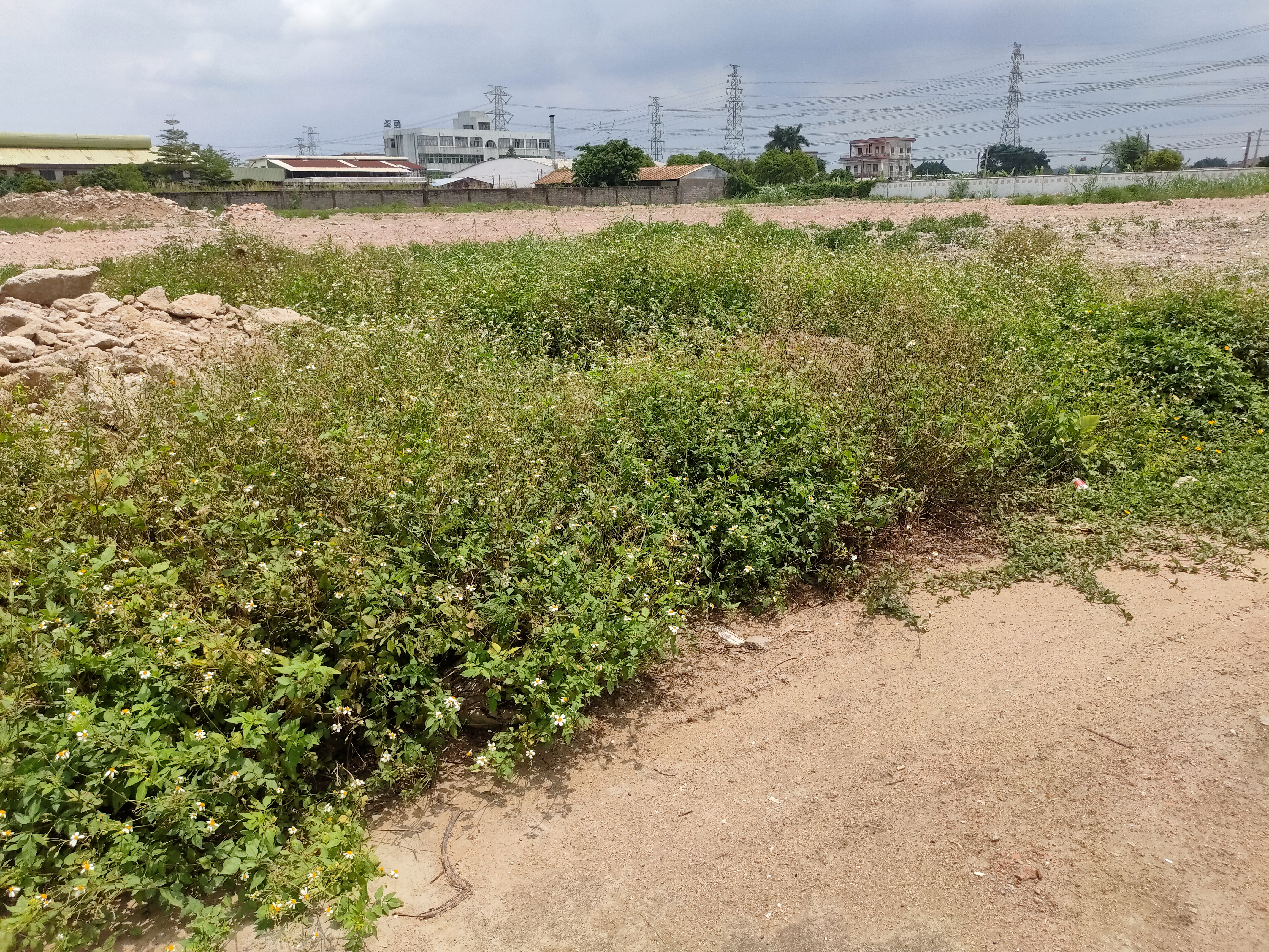 横栏镇空出空地6亩，行业不限2