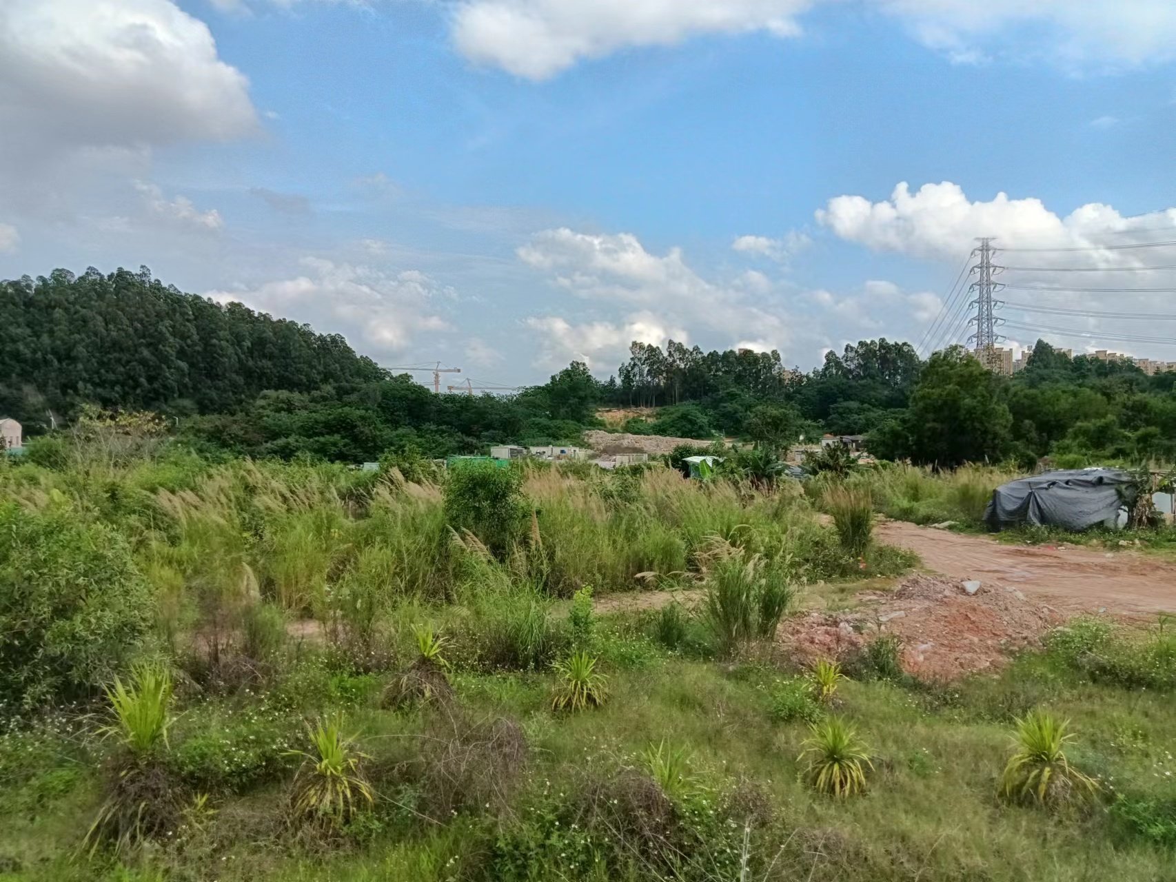 主干道旁，空地出租，有380电1