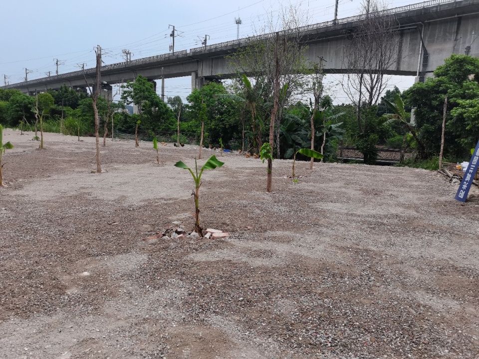 新华街道大华村空地出租10000方2