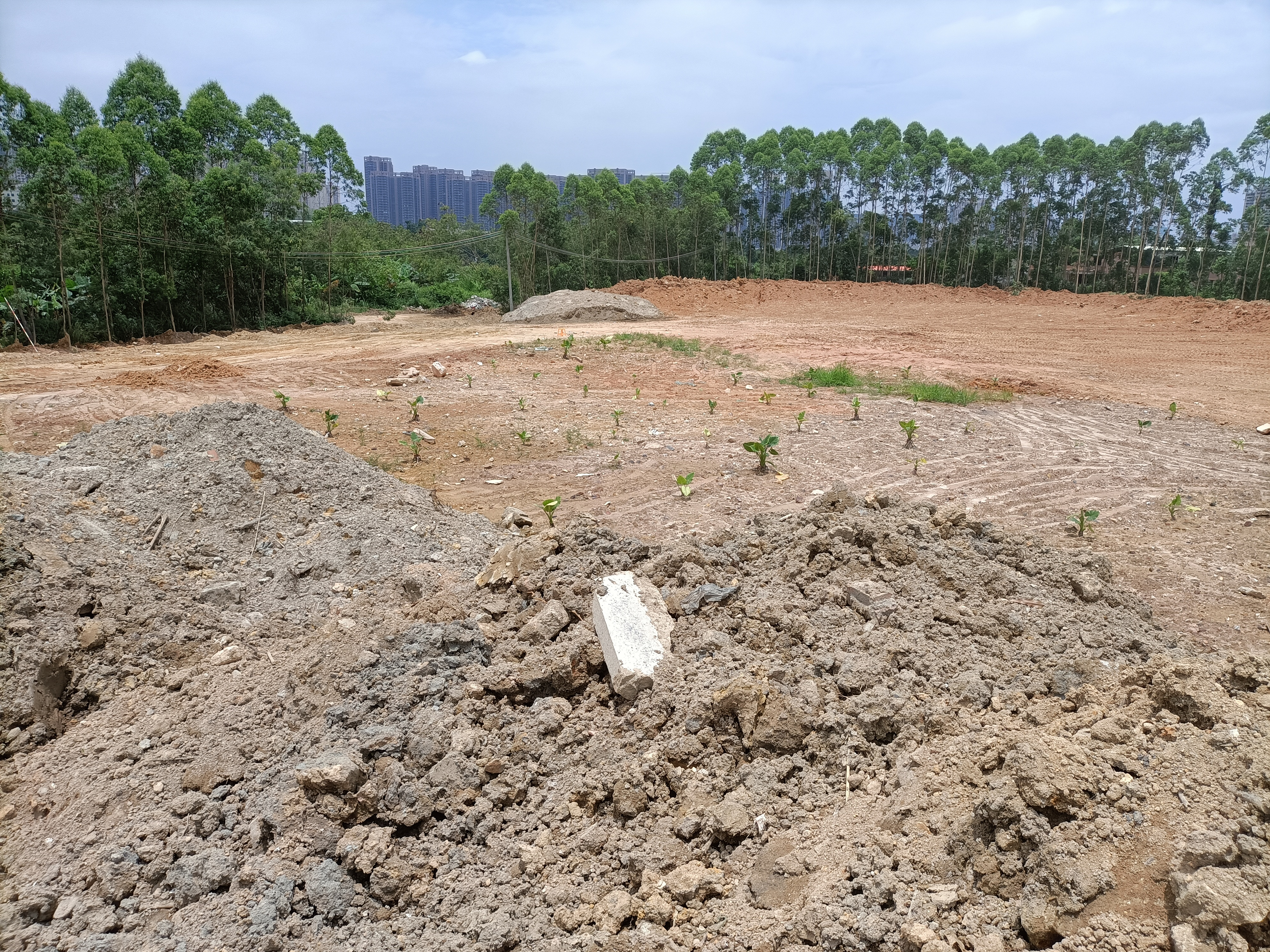 澳头50亩地可报建可定建可搭建红本齐全1