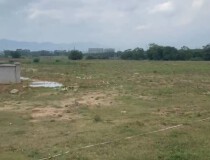 惠州博罗20亩集体证永久使用权土地出售