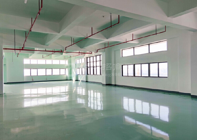 顺德北滘政府项目10000平方标准厂房500平方起分独立房产4