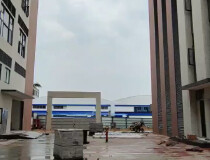 番禺区新建工业区厂房出租4000平方，可分租