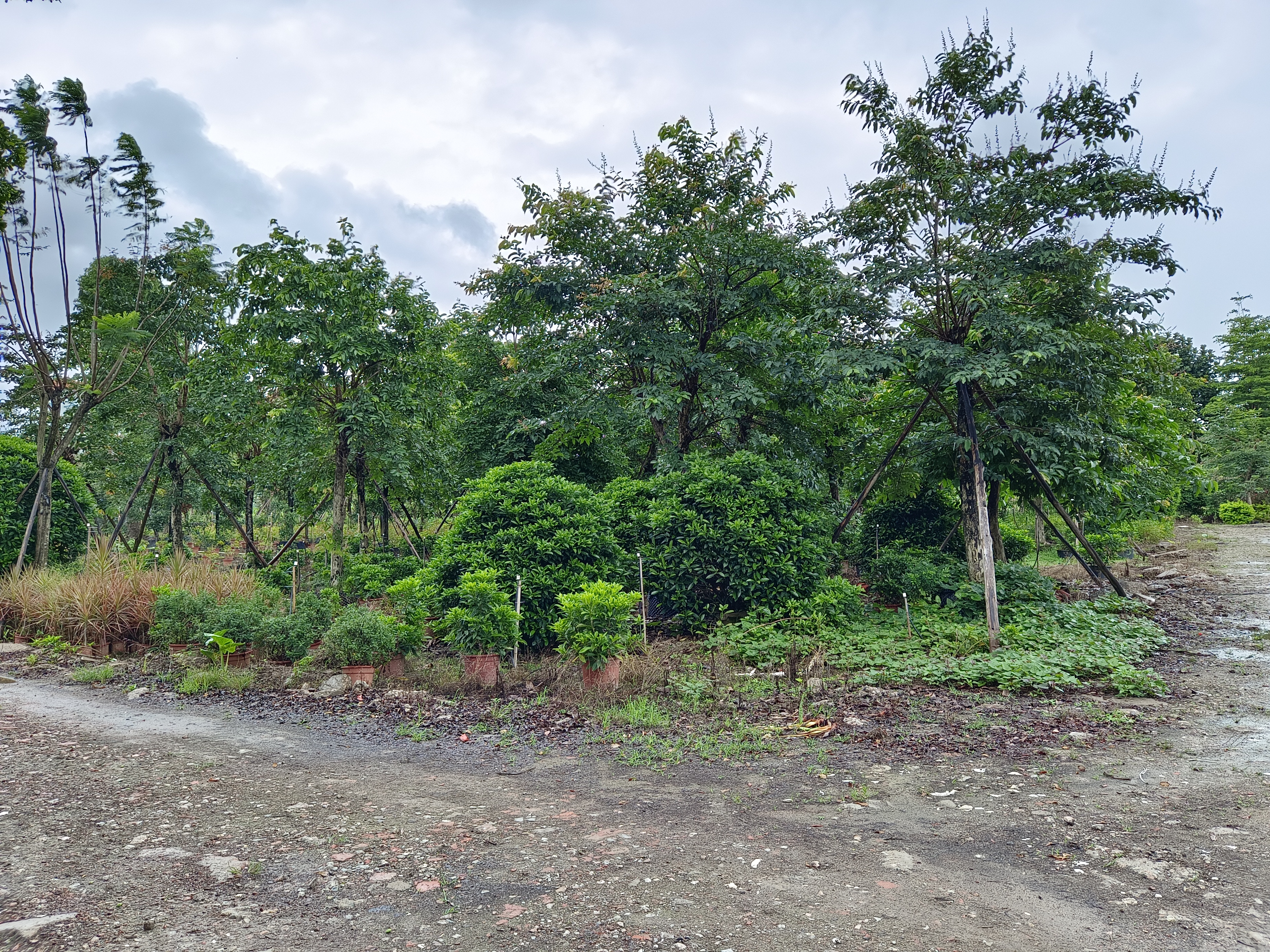 原房东24亩空地出租，可定建厂房，证件都齐全离高速路口近1