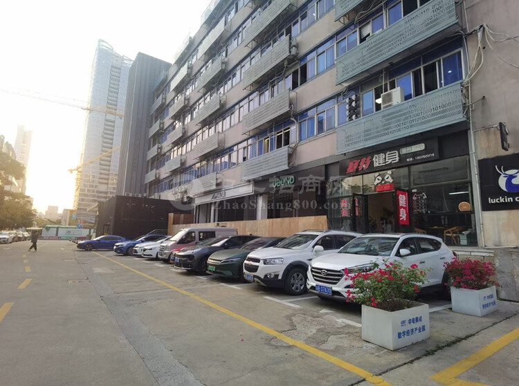 深圳南山科技园中区新出一楼铺面