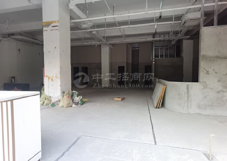 深圳南山科技园中区新出一楼铺面2