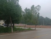 惠阳镇隆新出空地10亩原房东