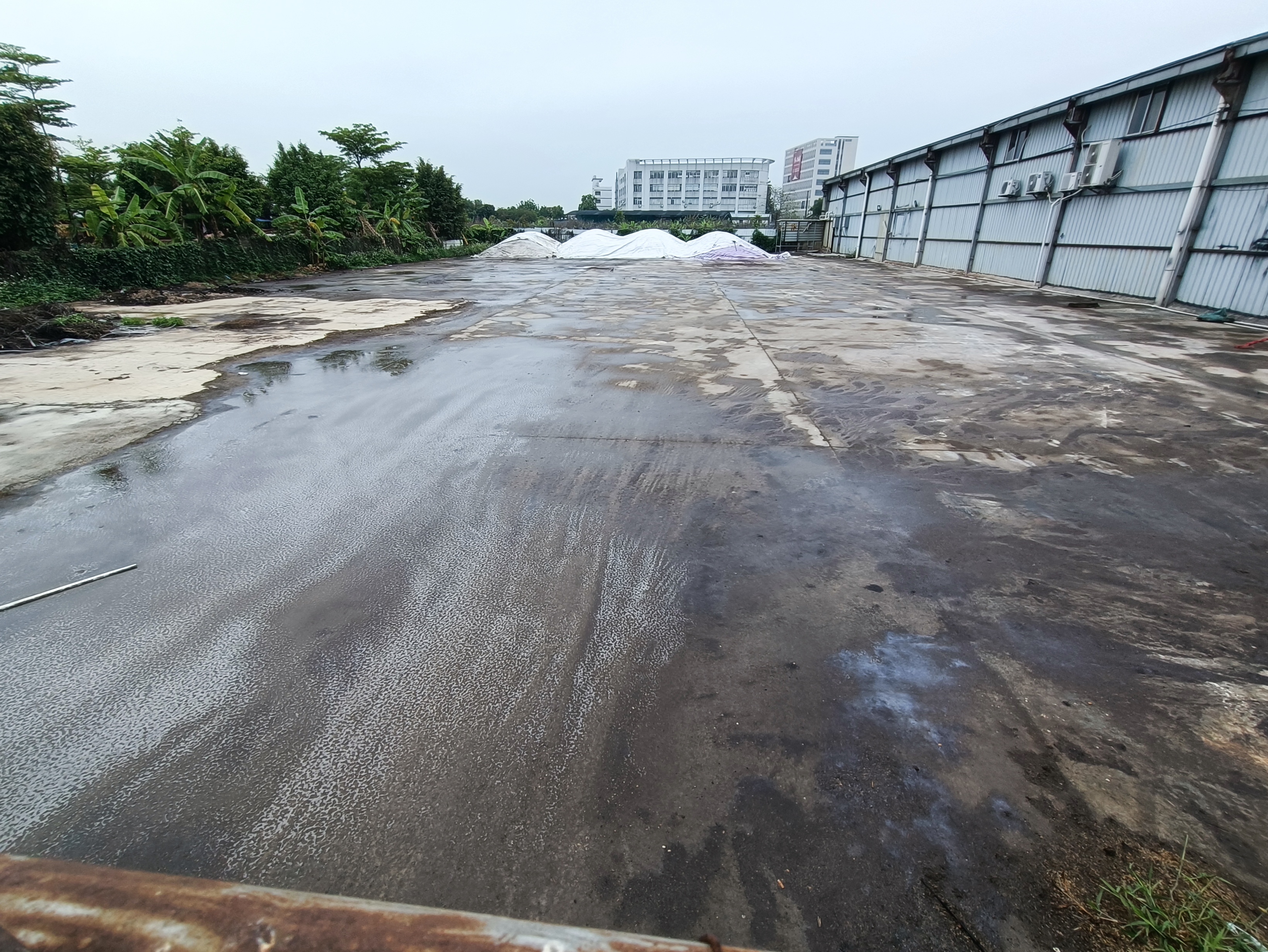 南沙区东涌主干道上空地5