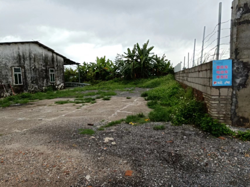 板芙新空出空地800平方低价出租1