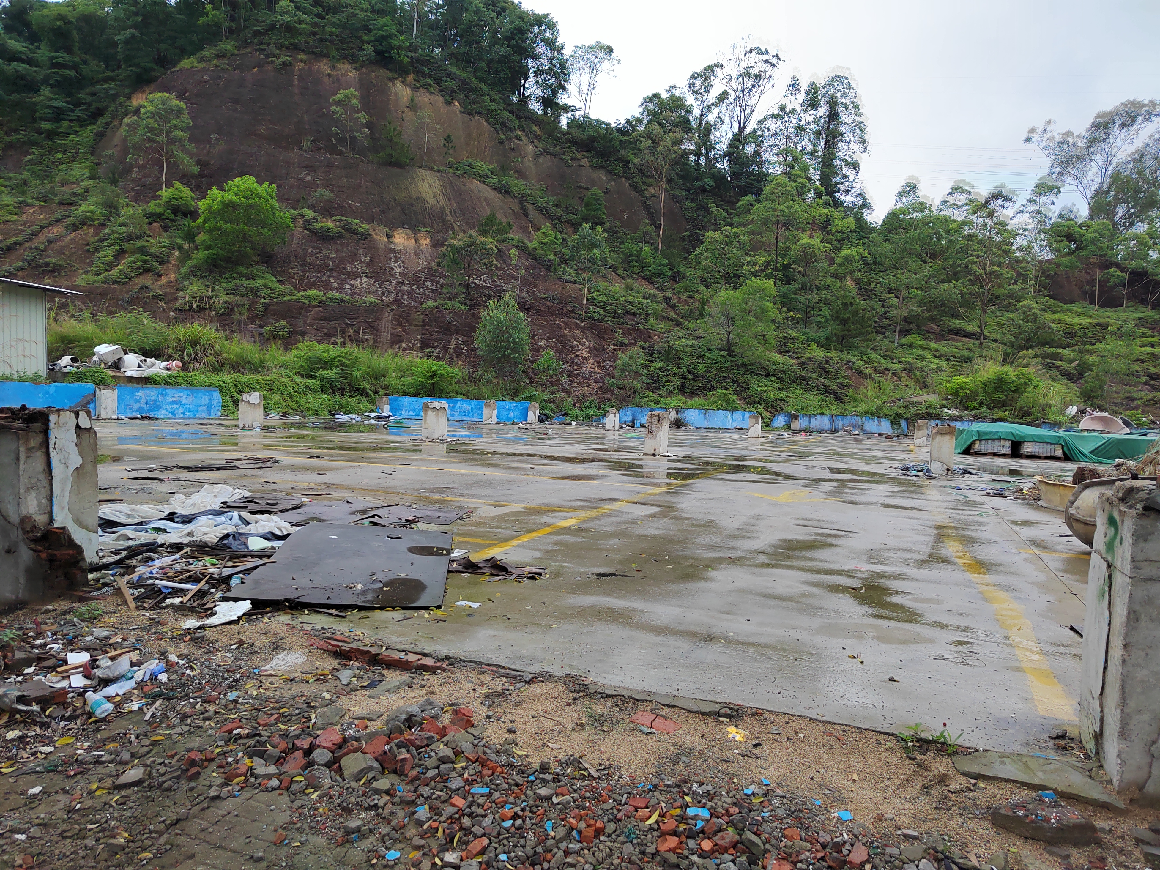 新圩原房东工业用地3000平出租1