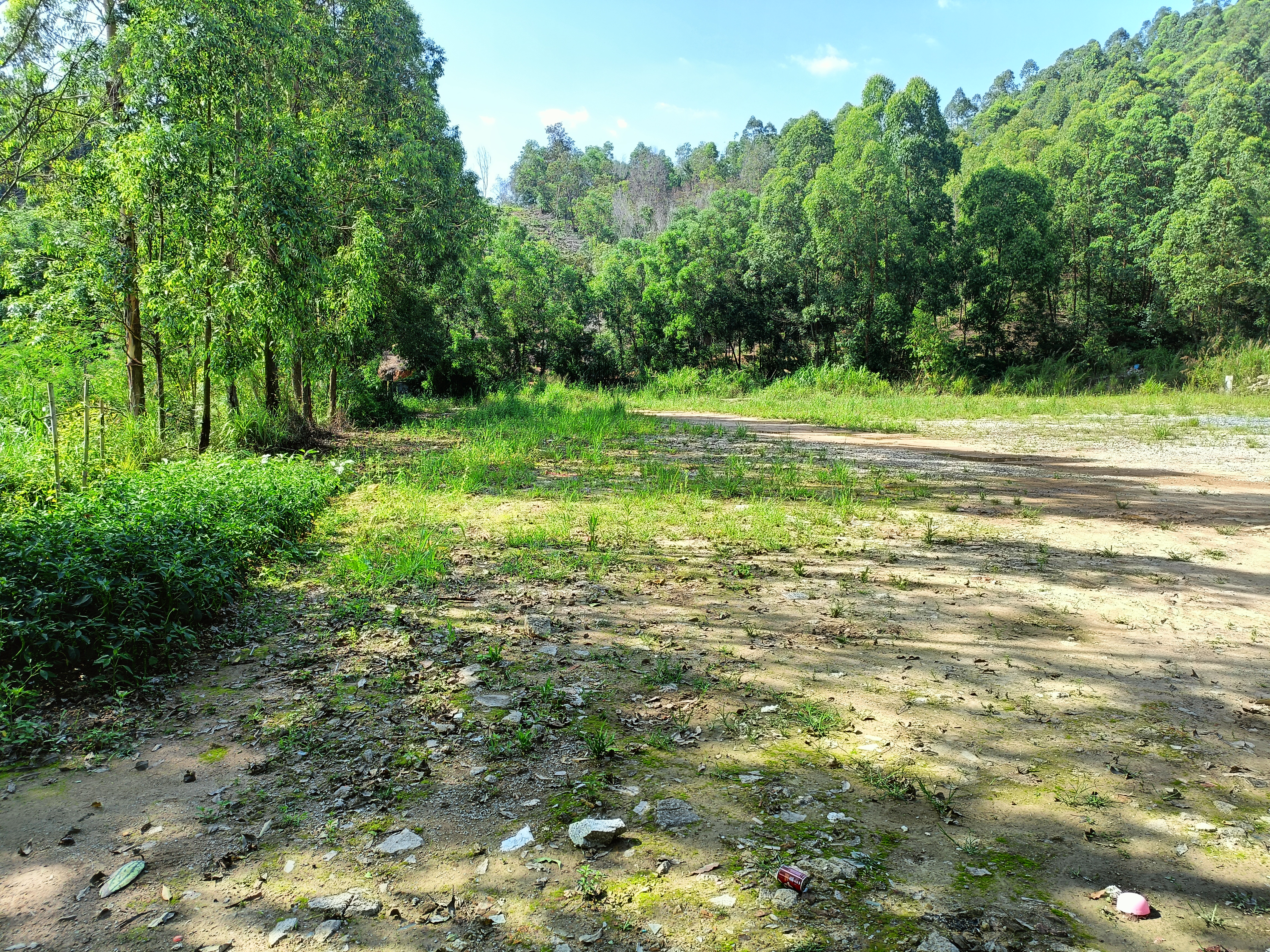 惠阳镇隆5000平偏僻空地可硬化带鱼塘5