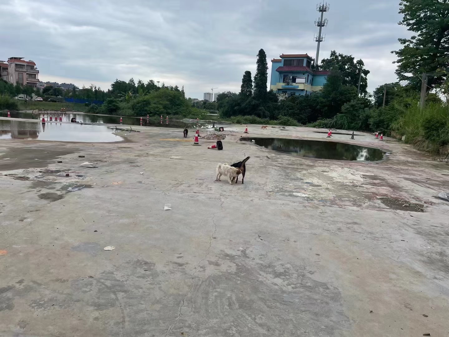 西樵镇现成硬化空地，大马路边，价格便宜，可做堆放，也可报建1