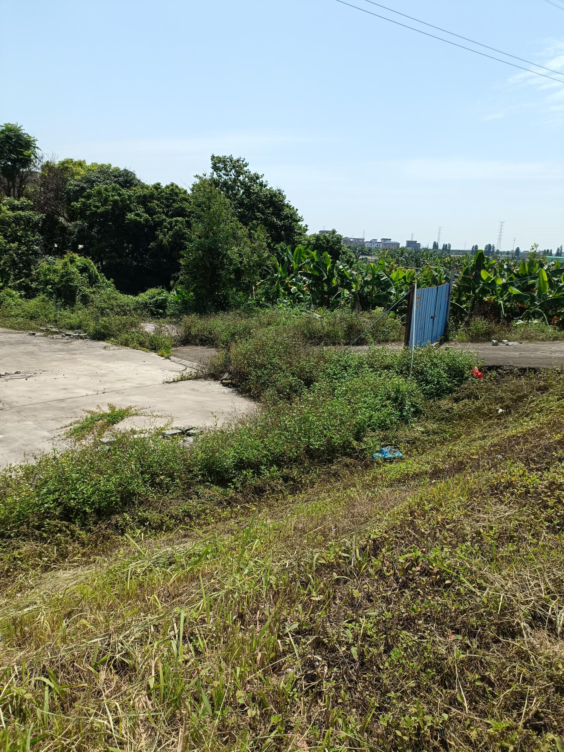 中山市黄圃镇马新工业区800平空地出租，已经硬化好，价格便宜2