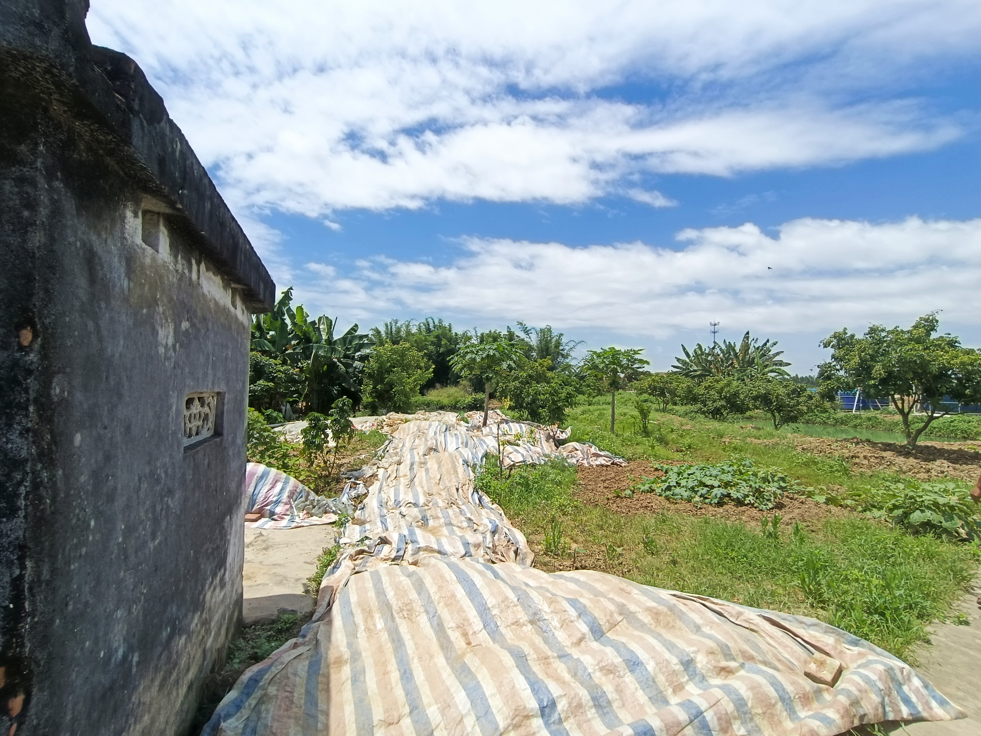 中山市港口镇新出个人空地1.2亩左右，可搭建厂房。2