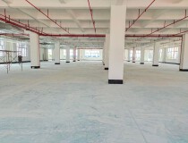 临深圳仲恺高新区技术产业开发区中心区域独栋厂房3000平出售