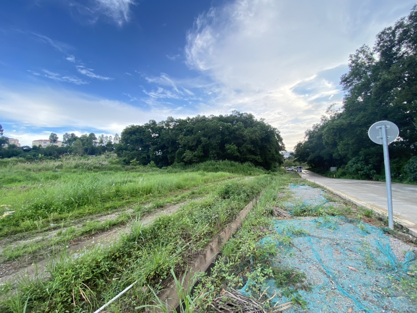 龙岗龙西高速路口，空地50亩，集体用地，行业不限2