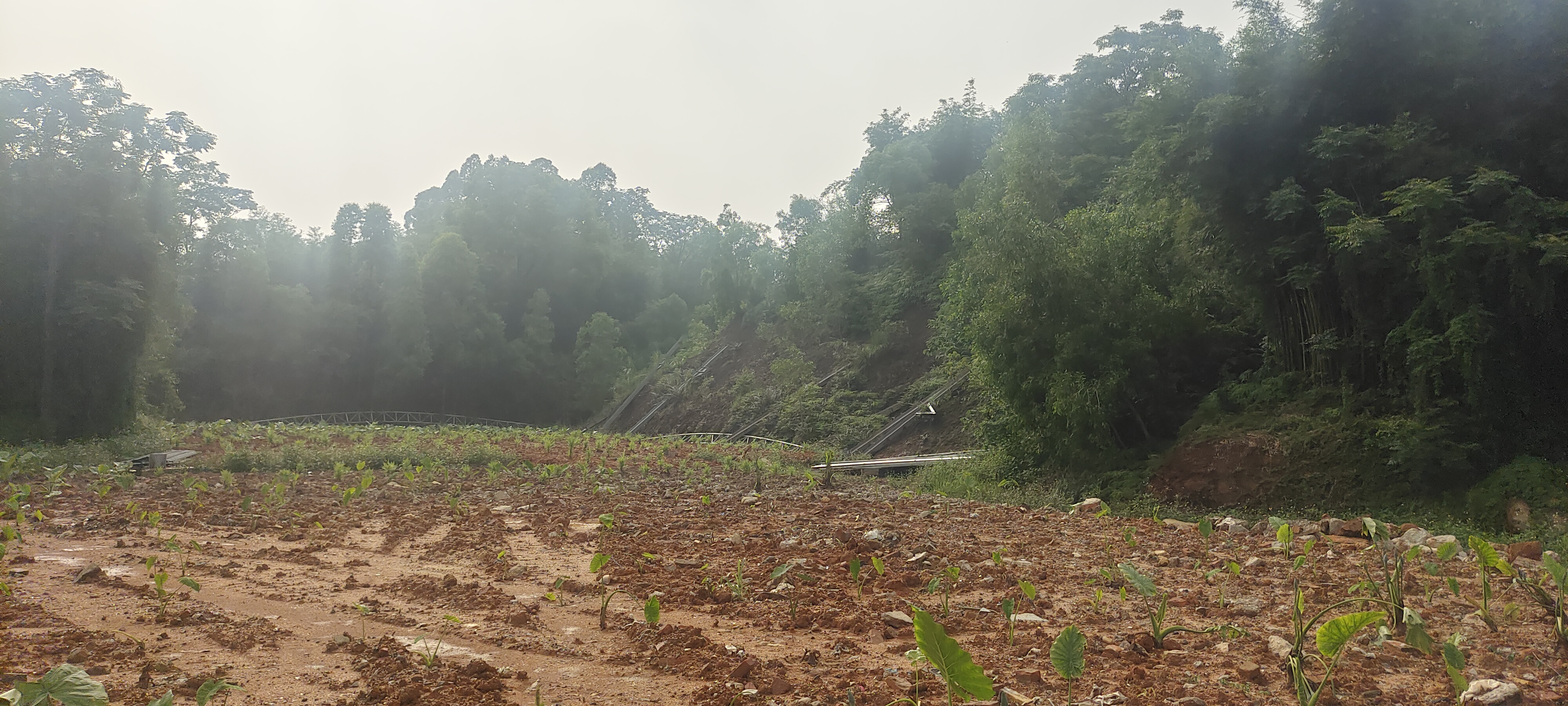 小塘狮岭新出空地可做停车场木材废铁可做资源回2