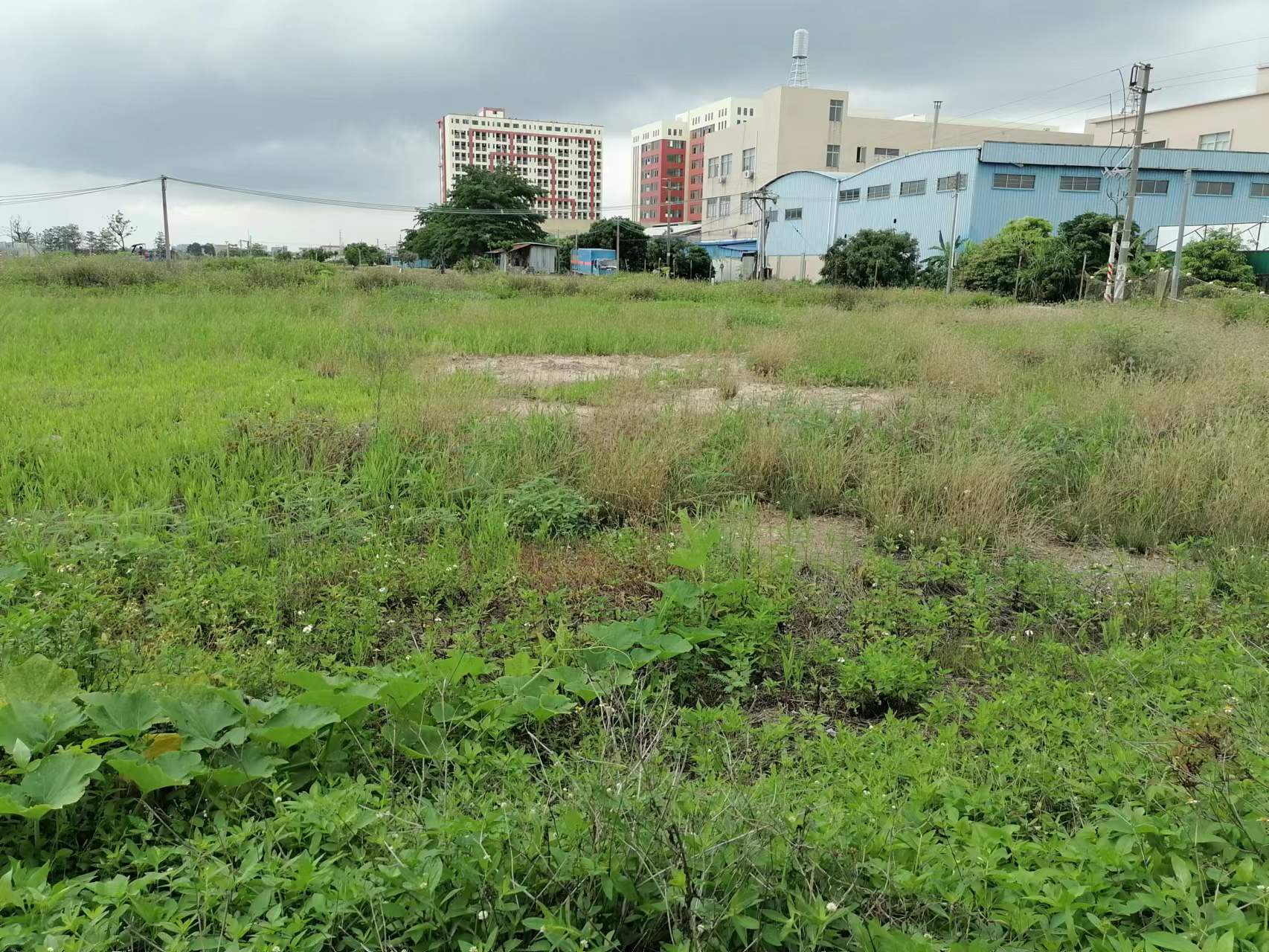 工业用地，空地3000平方，报价：3块3