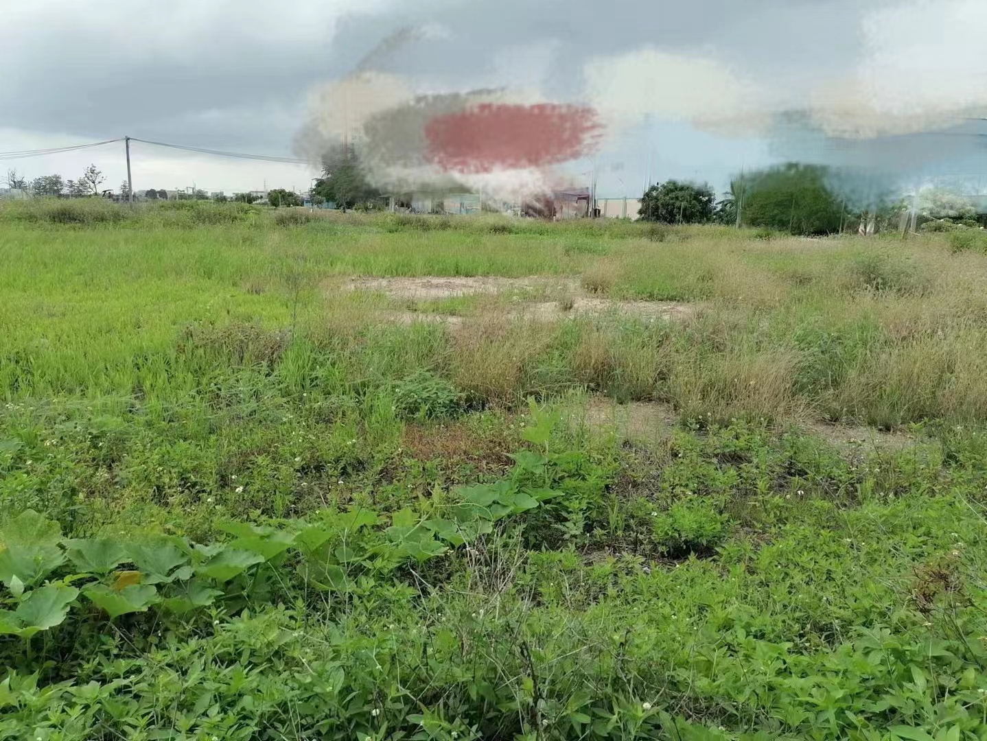 集体土地，可分租，可硬化，交通方便，周边无居民，适用性广。1