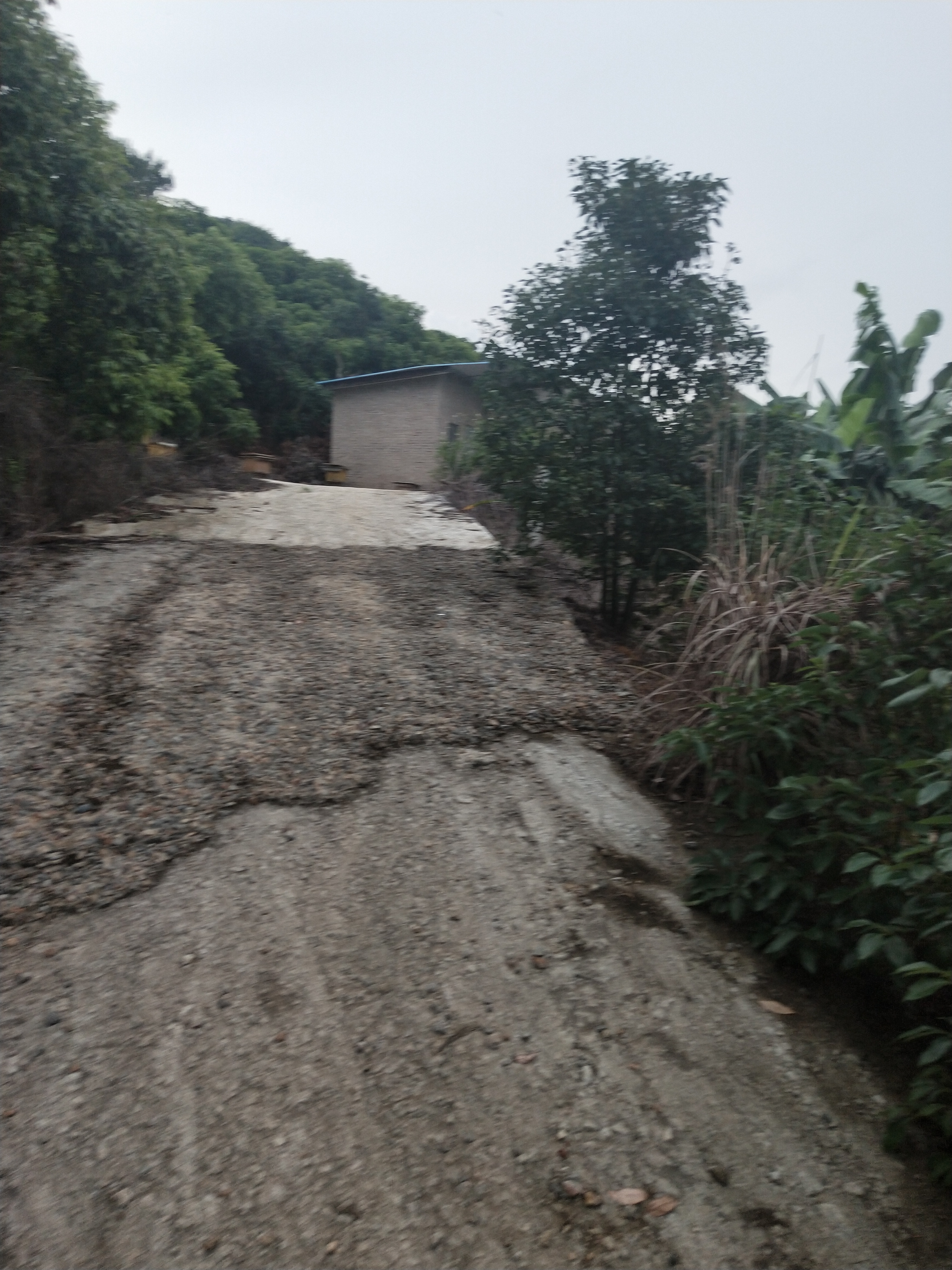 惠阳新圩1000平原房东靠山边土地出租1