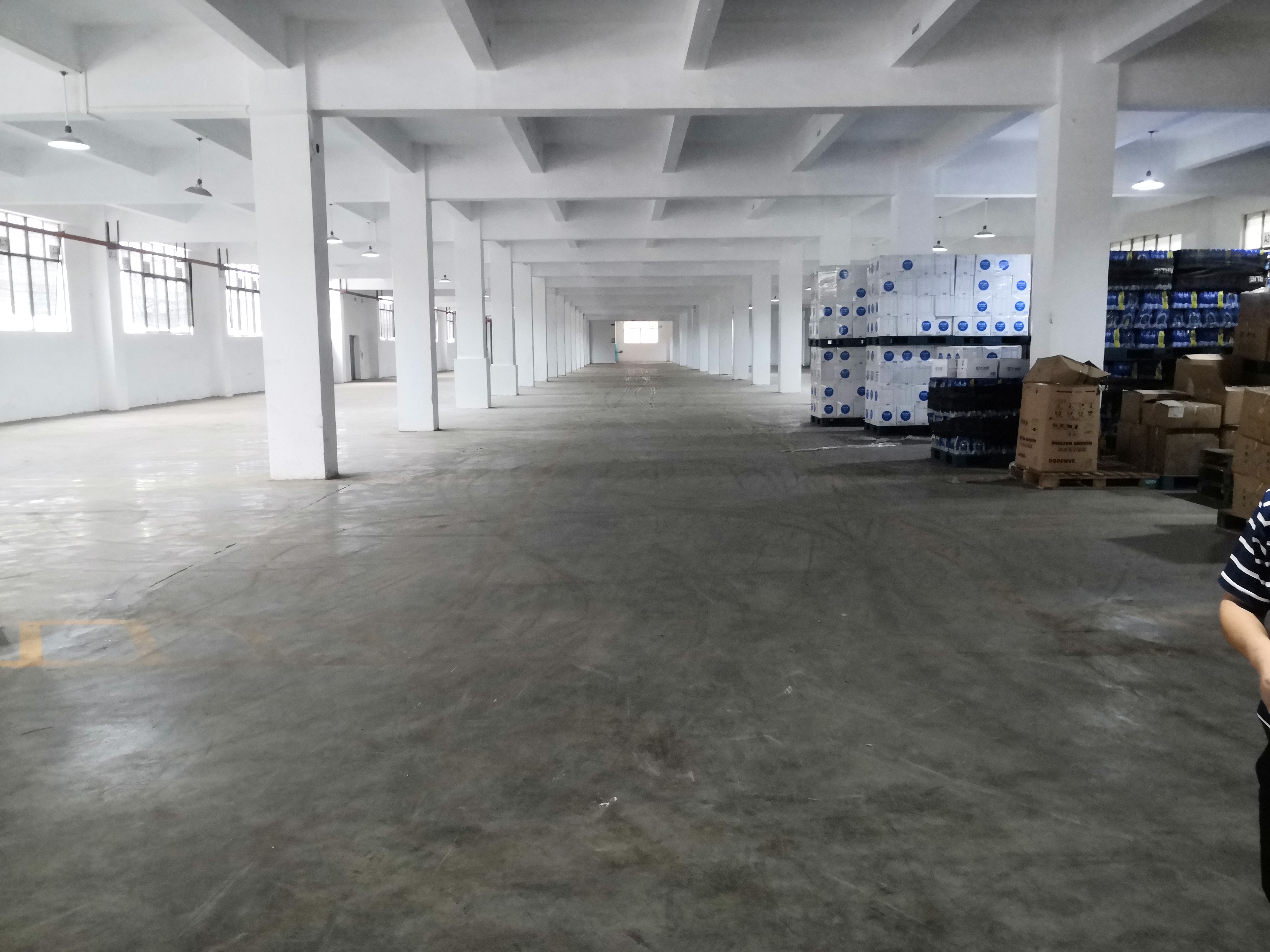广州市增城区新塘镇新出一二楼10000平方标准厂房仓库出租
