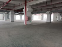 惠州惠阳淡水原房东出租全新厂房