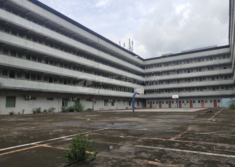 惠阳新圩9000平独栋工厂宿舍，可做写字楼、培训机构1