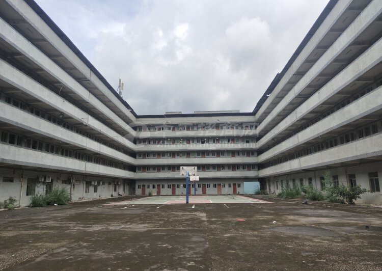 惠阳新圩9000平独栋工厂宿舍，可做写字楼、培训机构2