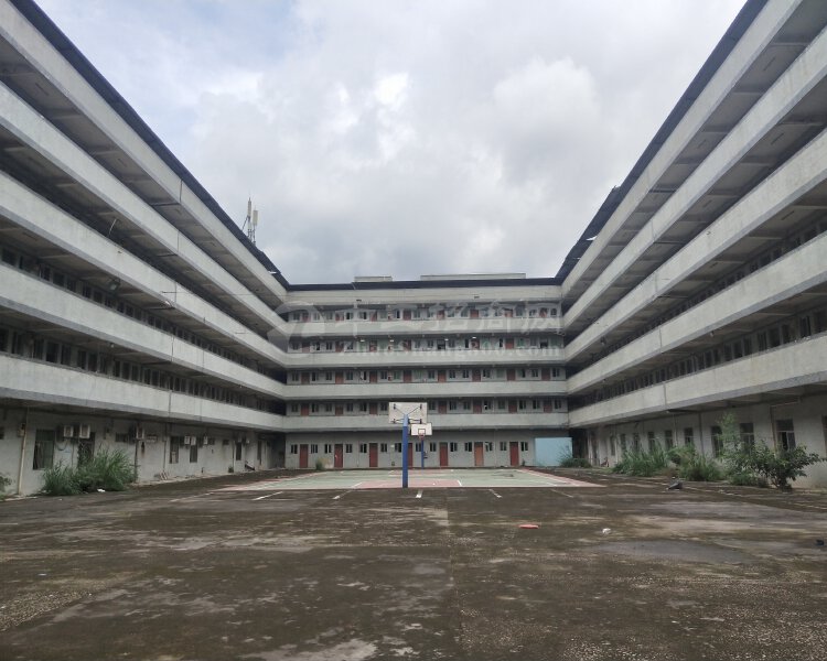 惠阳新圩9000平独栋工厂宿舍，可做写字楼、培训机构