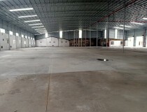 增城新塘镇工业园区单一层钢结构厂房出租可分租