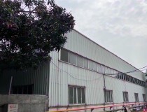 石碁国有双证独院钢构厂房出售3200平米，滴水8米，证件齐全