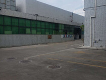 道滘镇工业园单一层分租厂房1300平方精装修