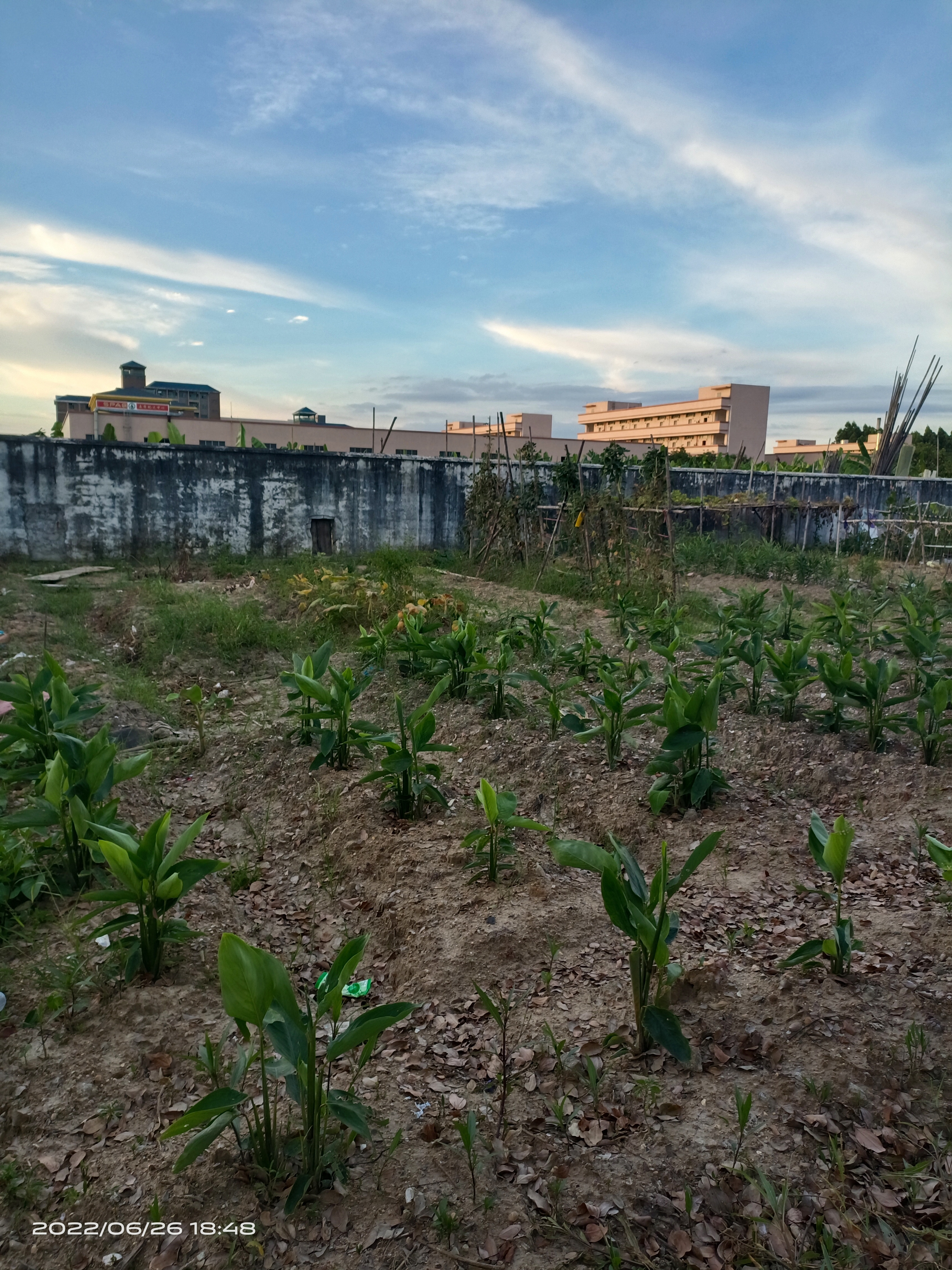 道滘江门台山105亩国土证出售1