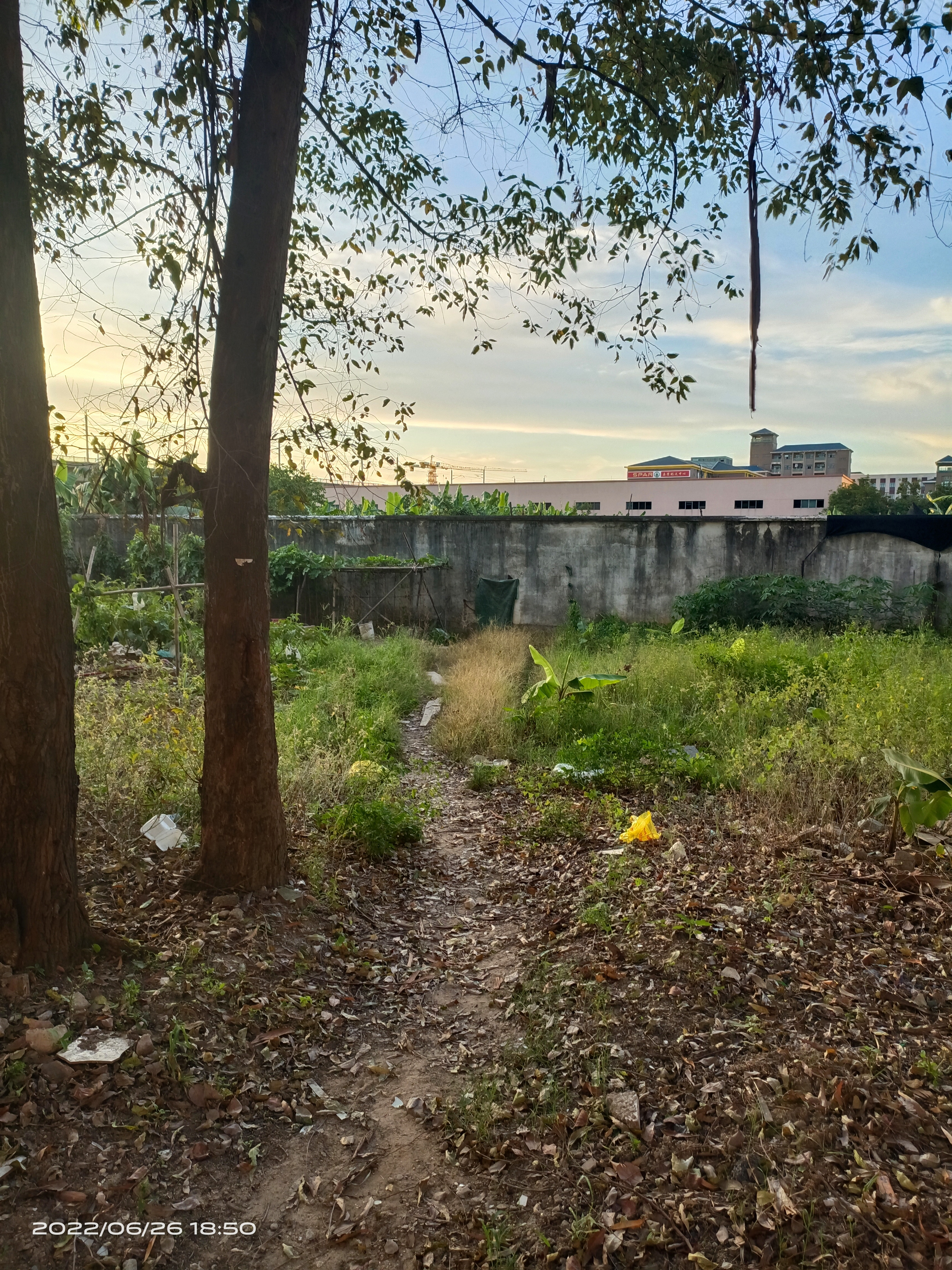 道滘江门台山105亩国土证出售5