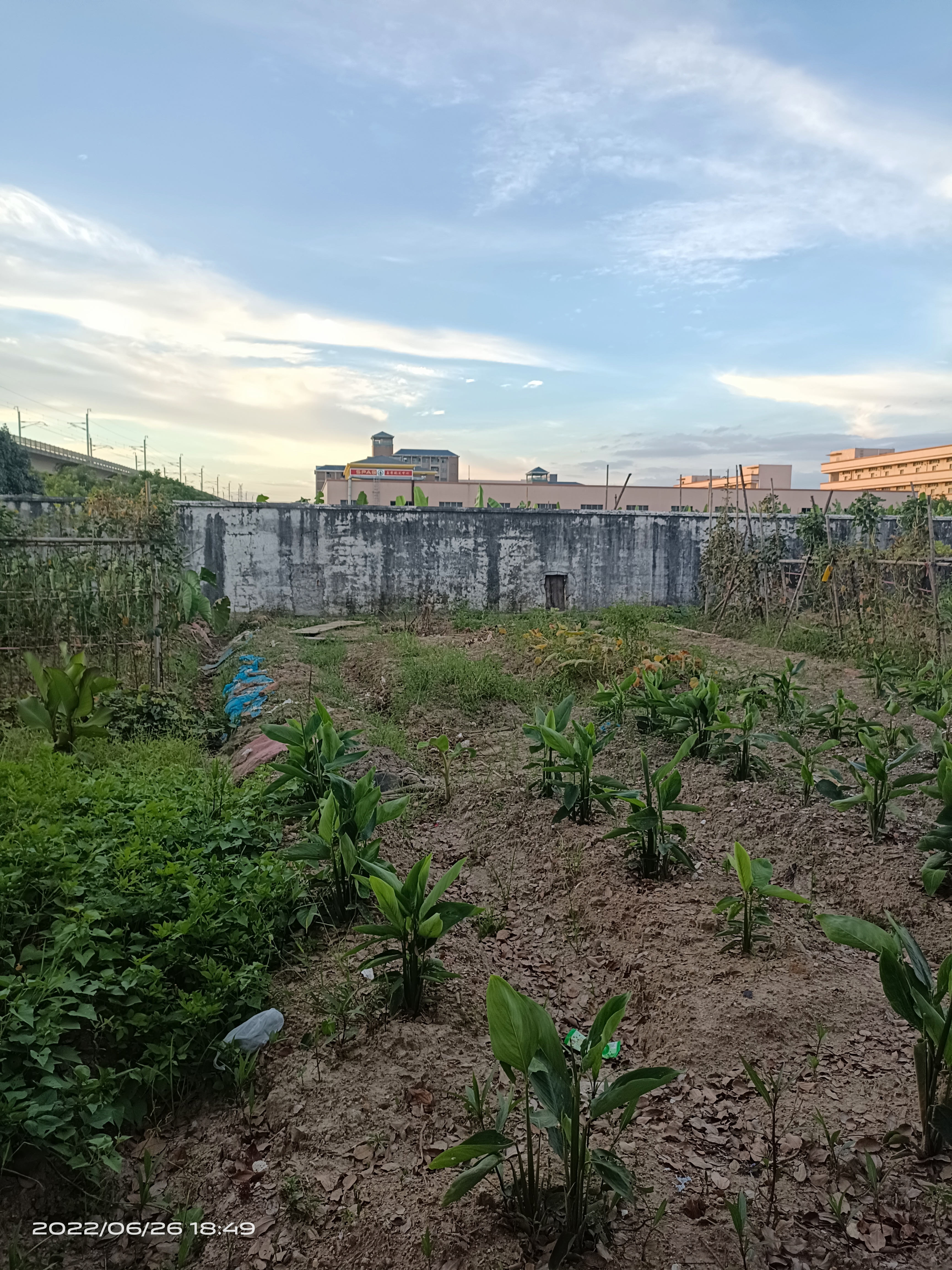 道滘江门台山105亩国土证出售4