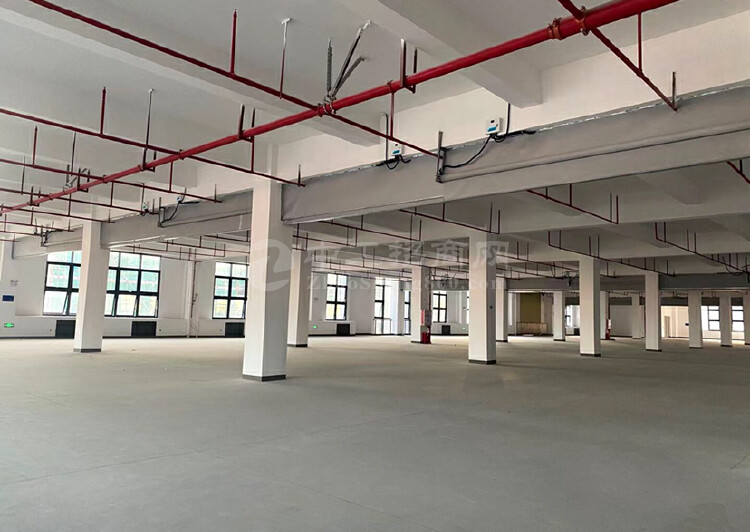 深圳布吉李朗五十年全新红本研发办公楼出售500平起售2